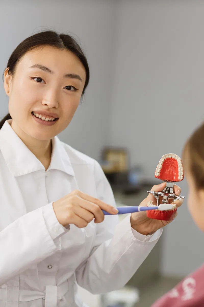 Dental professional demonstrating proper brushing technique during a preventive visit